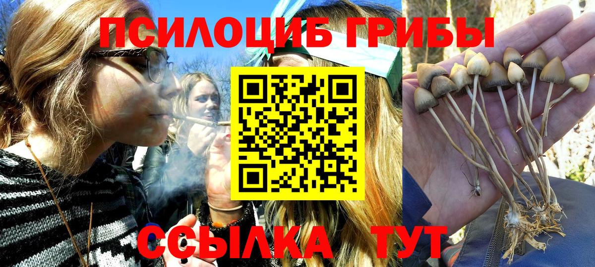 Псилоцибиновые грибы GOLDEN TEACHER Красноармейск