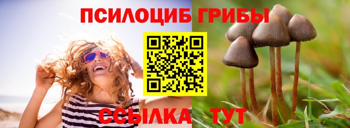 Кокаин Красноармейск
